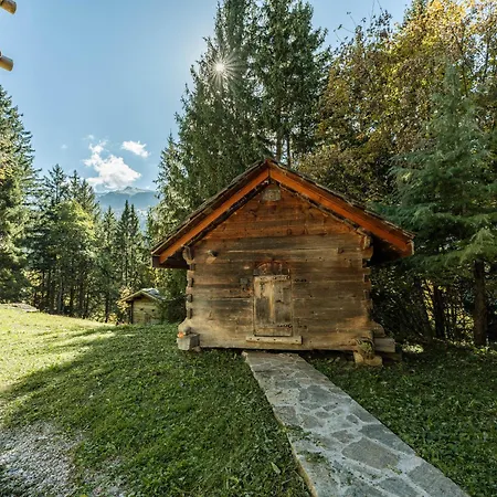 De Luxe Aux Allues Chalet